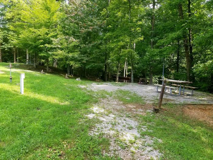 Grassy gravel driveway leads to picnic table on campsite.Site 7 Bear Creek Horse Camp