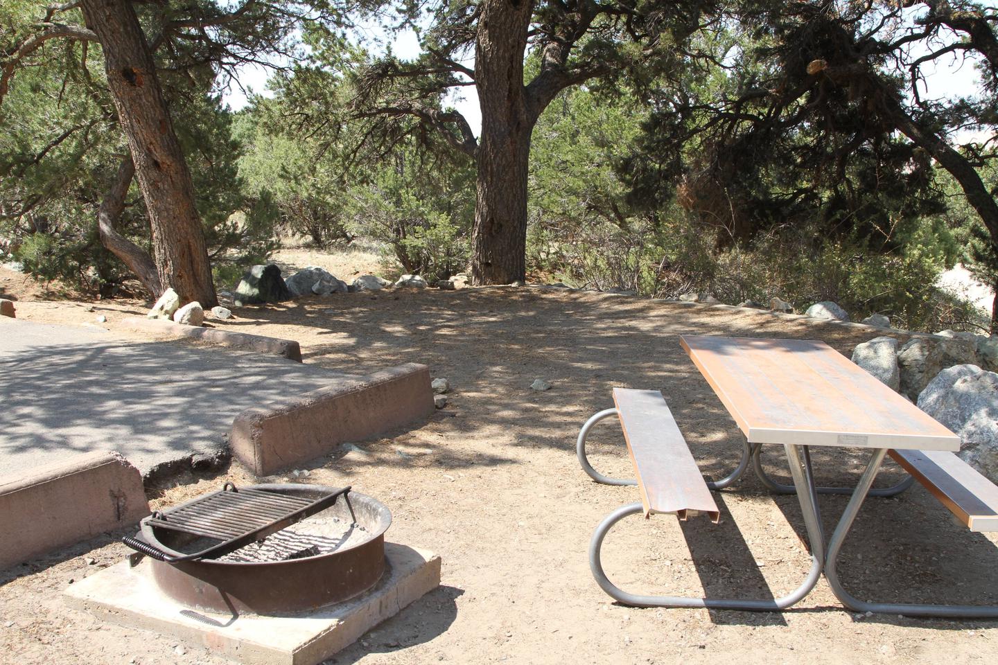 Side view of Site #28 fire ring, picnic table, parking pad, and designated tent pad. Site is shaded by pine trees.Site #28, Pinon Flats Campground