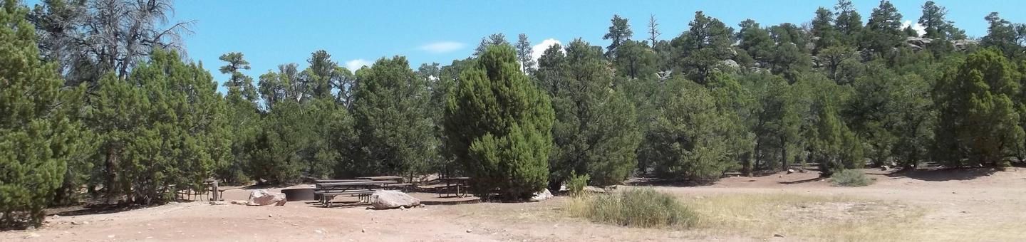 Campground area with Pinyon Juniper around it. Floor is dirt with very little grasses.Arch Dam Campground: Group Site 1