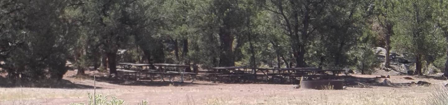 Picnic tables and a large fire pit with large trees in the background.Arch Dam Campground: Group Site 2