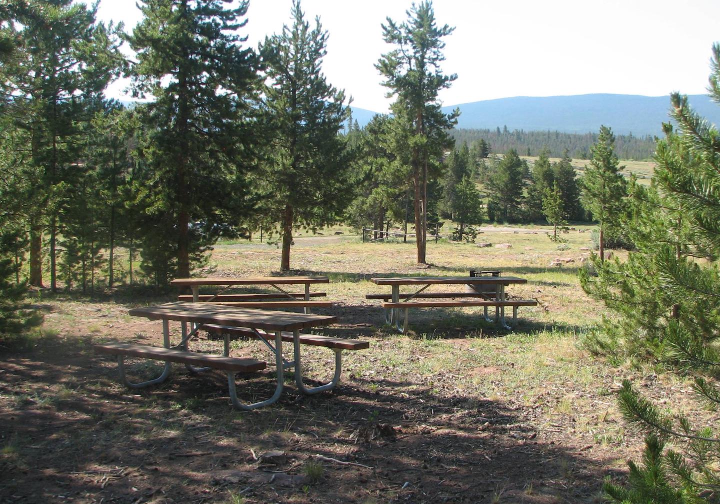Three picnic tables and a fire pit in a semi-grassy area.Browne Lake Campground: Group Site 2