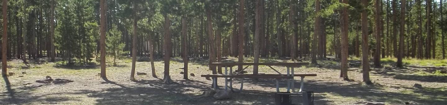 Picnic table and fire pit that is in a group of trees.Browne Lake Campground: Group Site 3