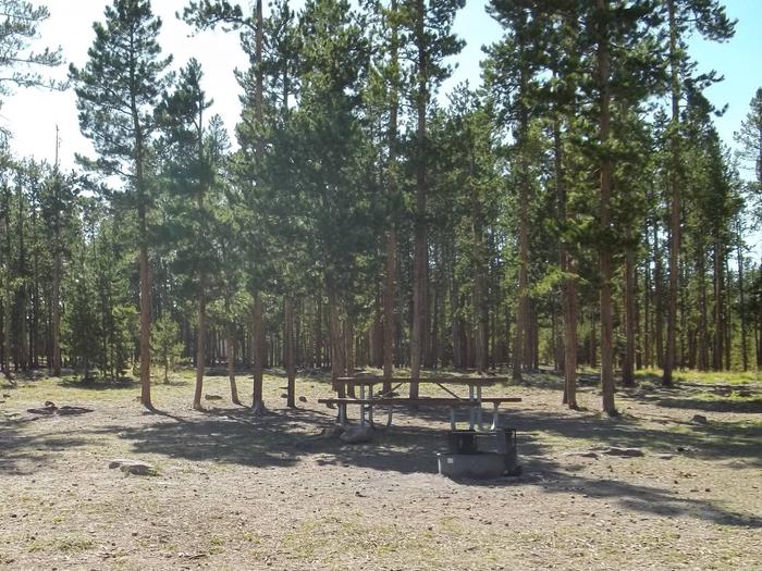 Picnic table and fire pit that is in a group of trees.Browne Lake Campground: Group Site 3