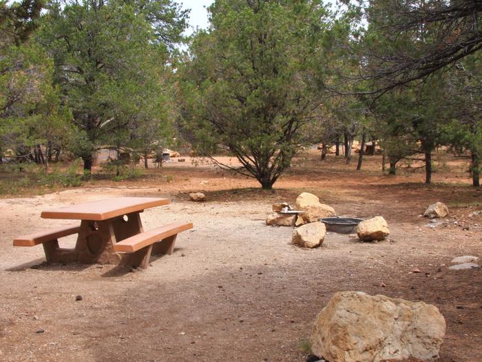 Picnic table and fire pit Mather Campground