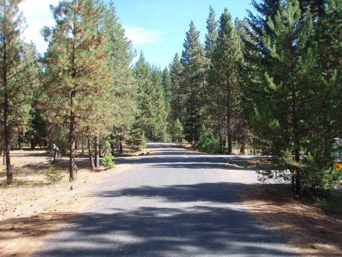 Flat paved road lined with pine and fir trees under partly cloudy sky.Kaner Flat Campground