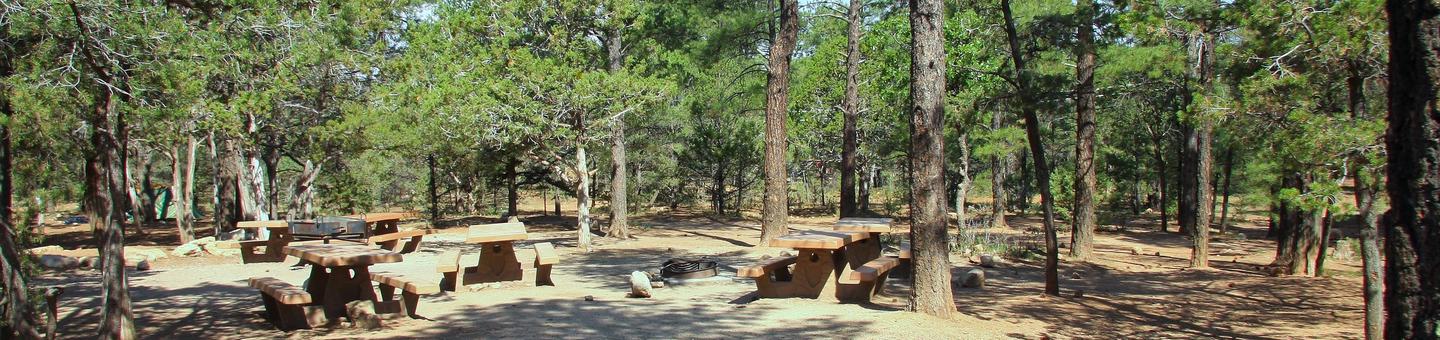 Picnic tables and fire pit Mather Campground
