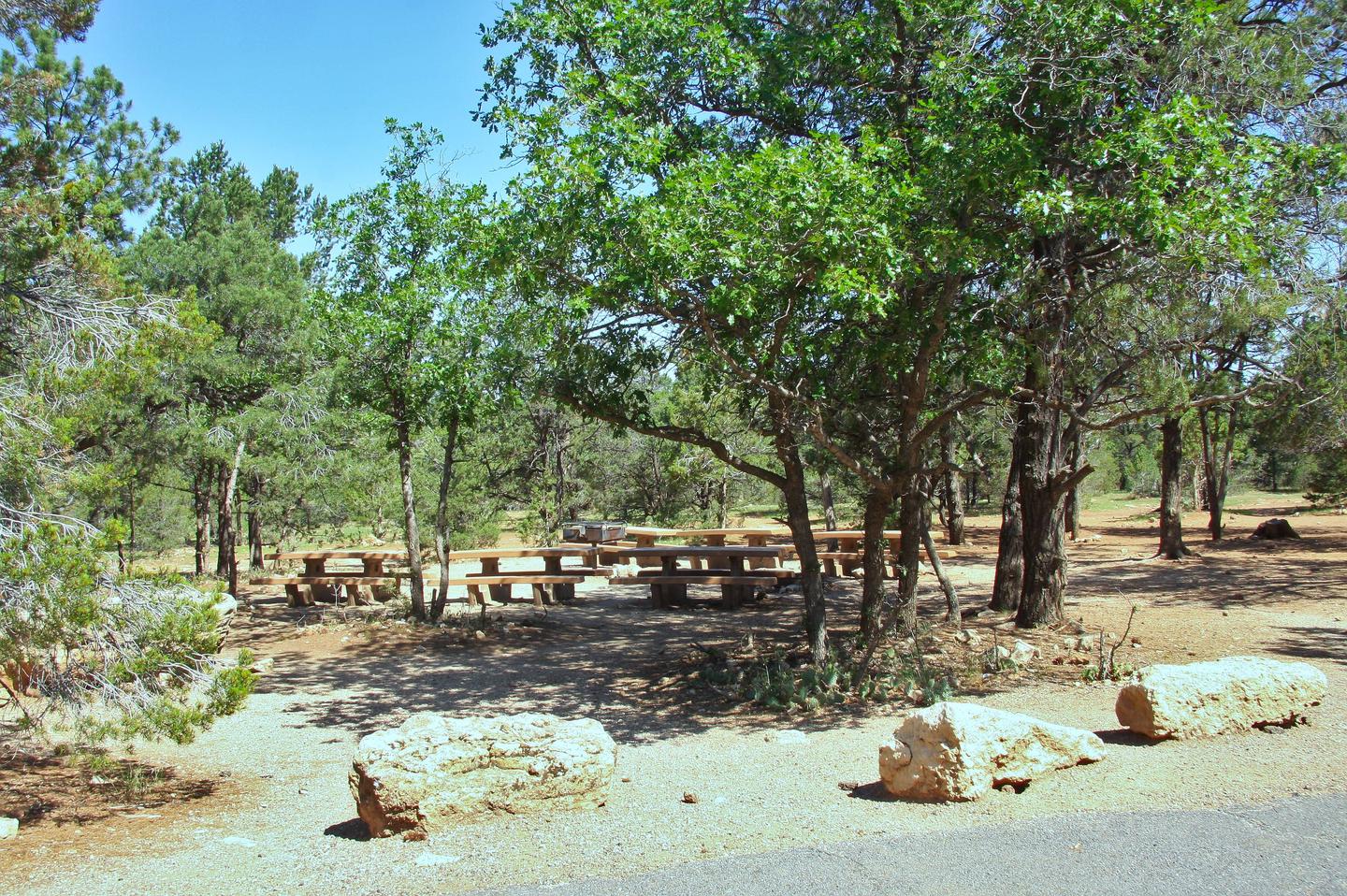 Picnic tables, fire pit, and parking spot, Mather Campground