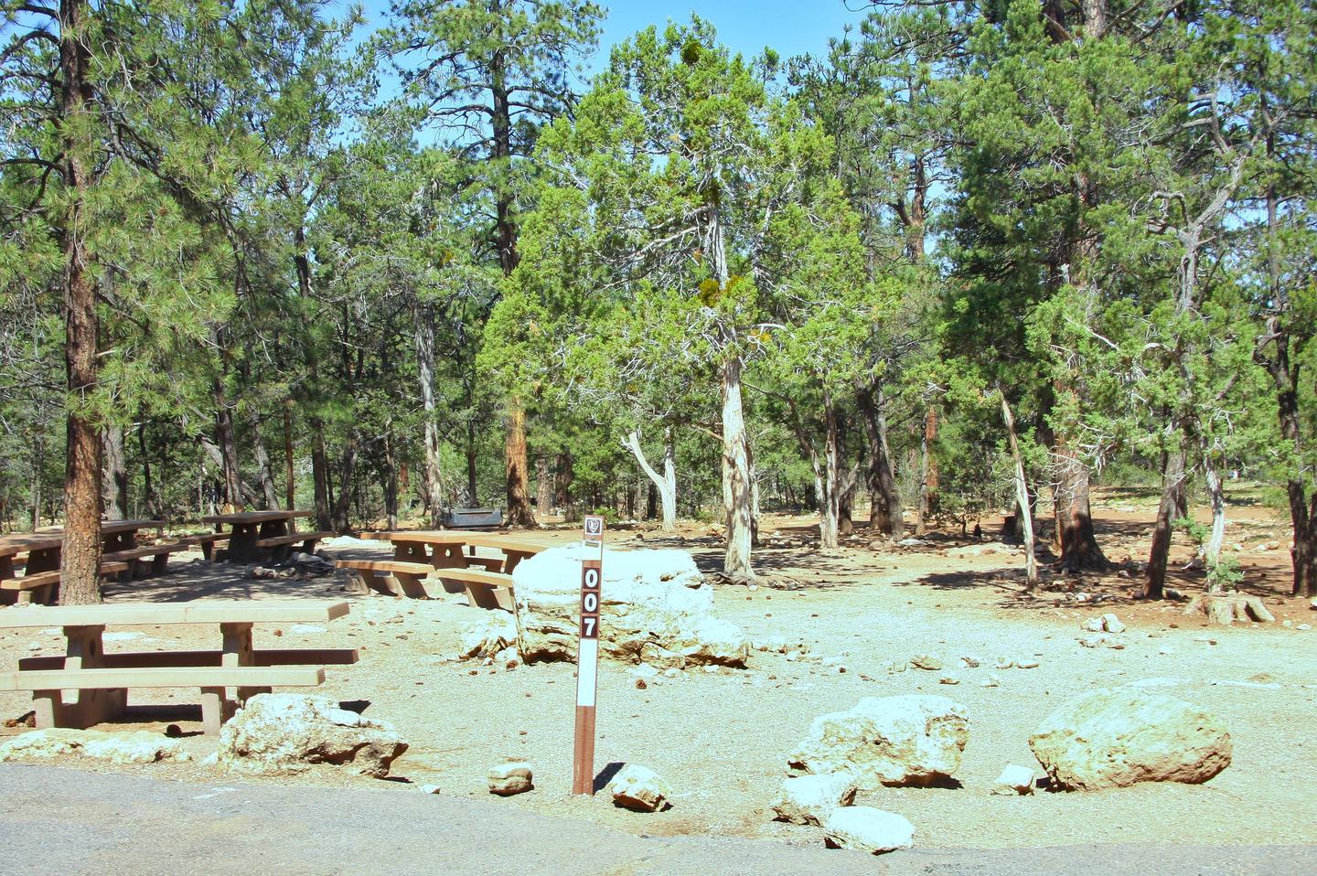 Picnic tables, fire pit, and parking spot, Mather Campground