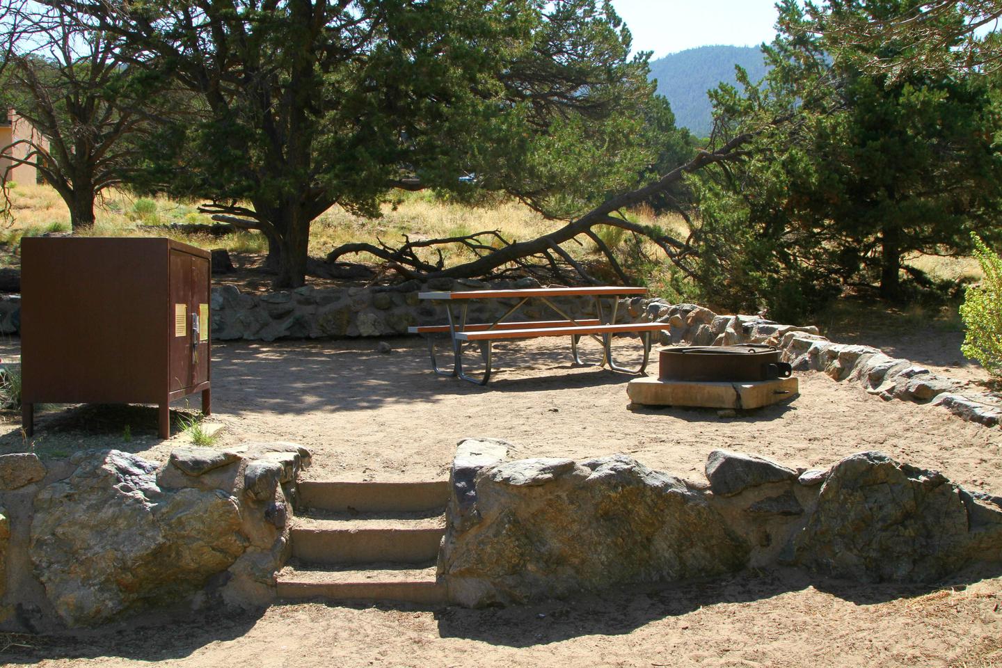 Closer view of Site #72 tent pad and stairs up from the parking pad, with bear box, picnic table, and fire ring. Pine trees in the background.Site #72, Pinon Flats Campground