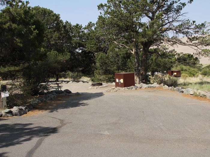 View of Site #74 parking pad and tent site, with bear box, picnic table, and fire ring. Pine trees are around site.Site #74, Pinon Flats Campground