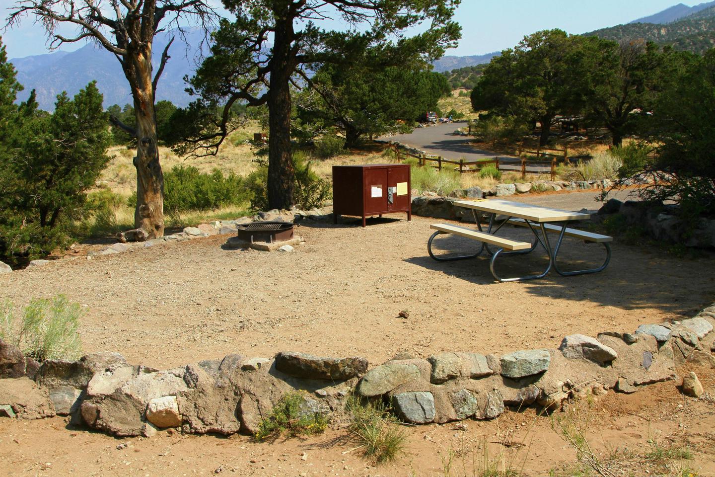 Back view of Site #74 tent pad, with picnic table, fire ring, and bear box.Site #74, Pinon Flats Campground