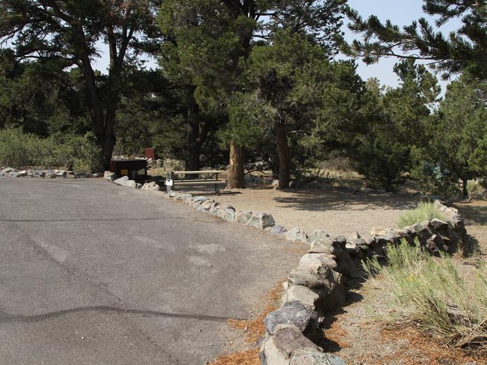 View of Site #76 parallel parking pad and tent site, with bear box, picnic table, and fire ring. Site has low hanging pine trees at either end of the parallel parking area. Due to width of road, slide outs are not recommended.Site #76, Pinon Flats Campground