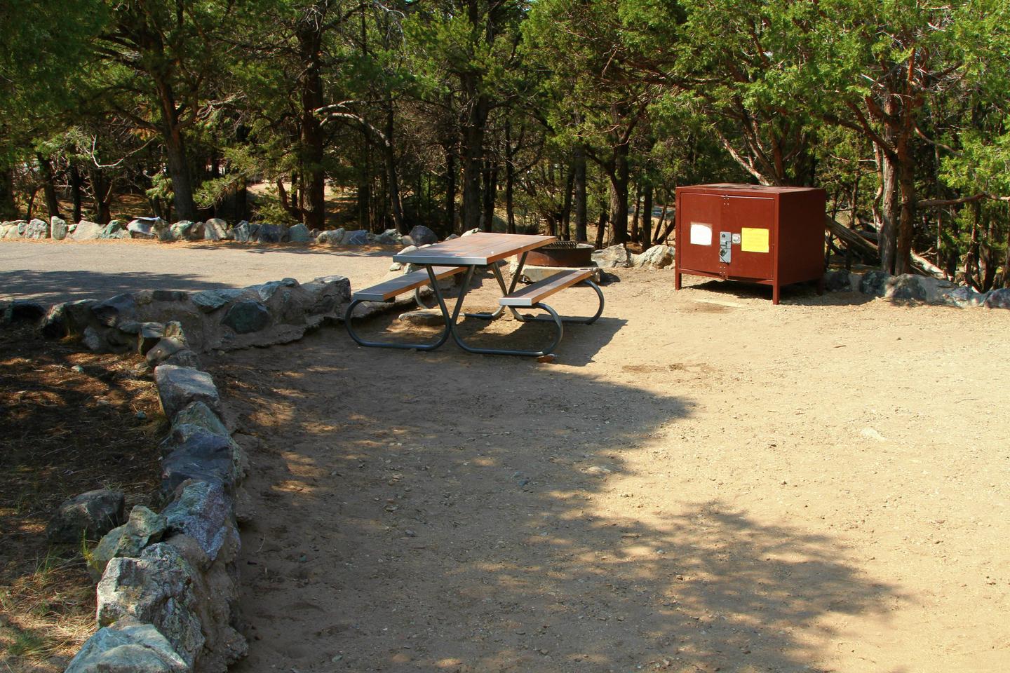 Back view of Site #81 tent pad, with picnic table, bear box, and the fire ring that has been hidden in the other pictures.Site #81, Pinon Flats Campground