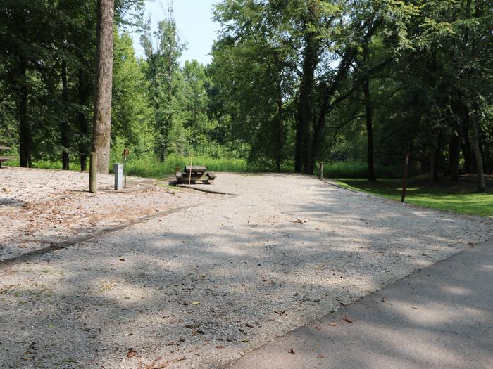 Site 135 Salt Lick Creek Campground