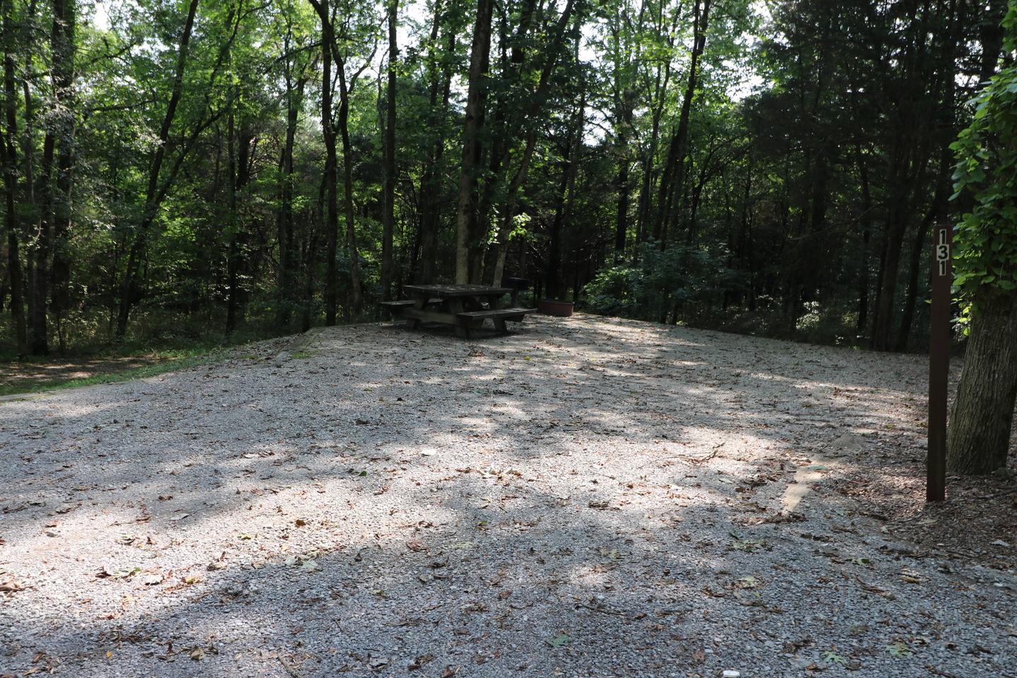 Site 131 Salt Lick Creek Campground