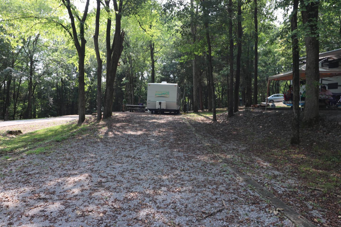 Site 129 Salt Lick Creek Campground