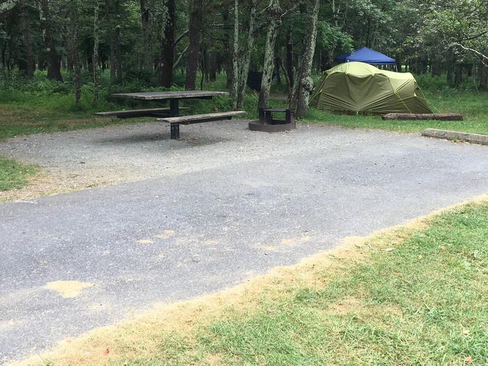 Reserve-able campsite A74Standard campsite A74