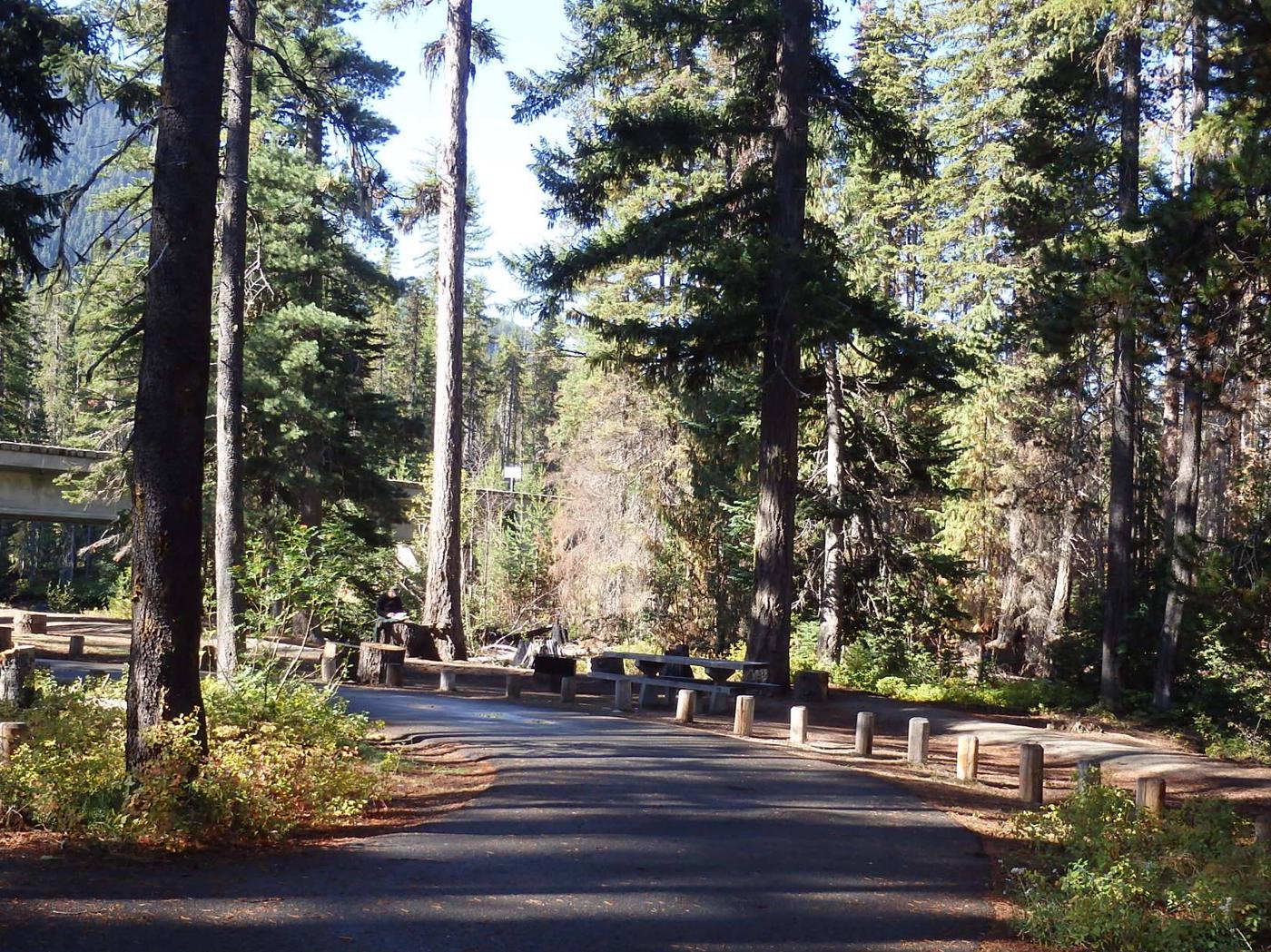 site-034-lodgepole-campground-wa-recreation-gov