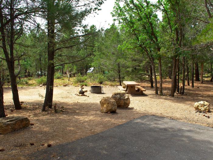 Picnic table, fire pit, tent, and parking spot, Mather Campground