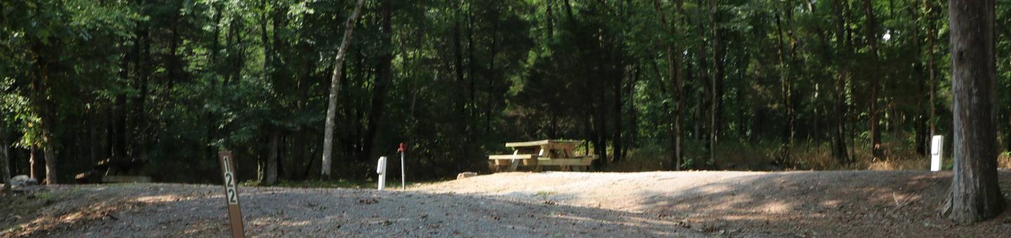 Site 122 Salt Lick Creek Campground