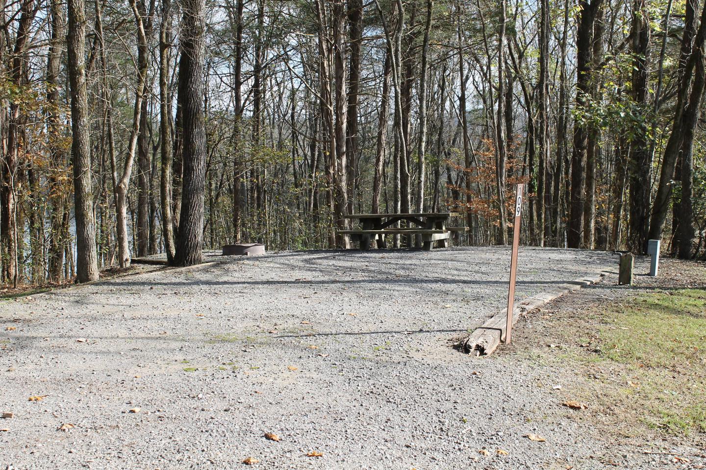 Site 109 Salt Lick Creek Campground