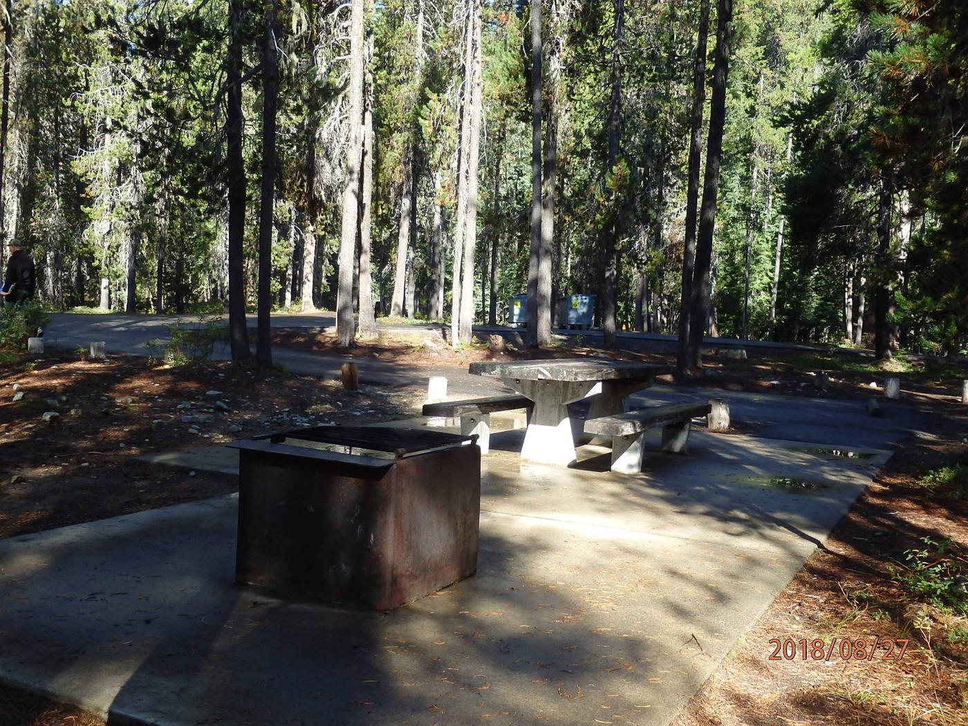 Site 022, Lodgepole Campground (WA) Recreation.gov