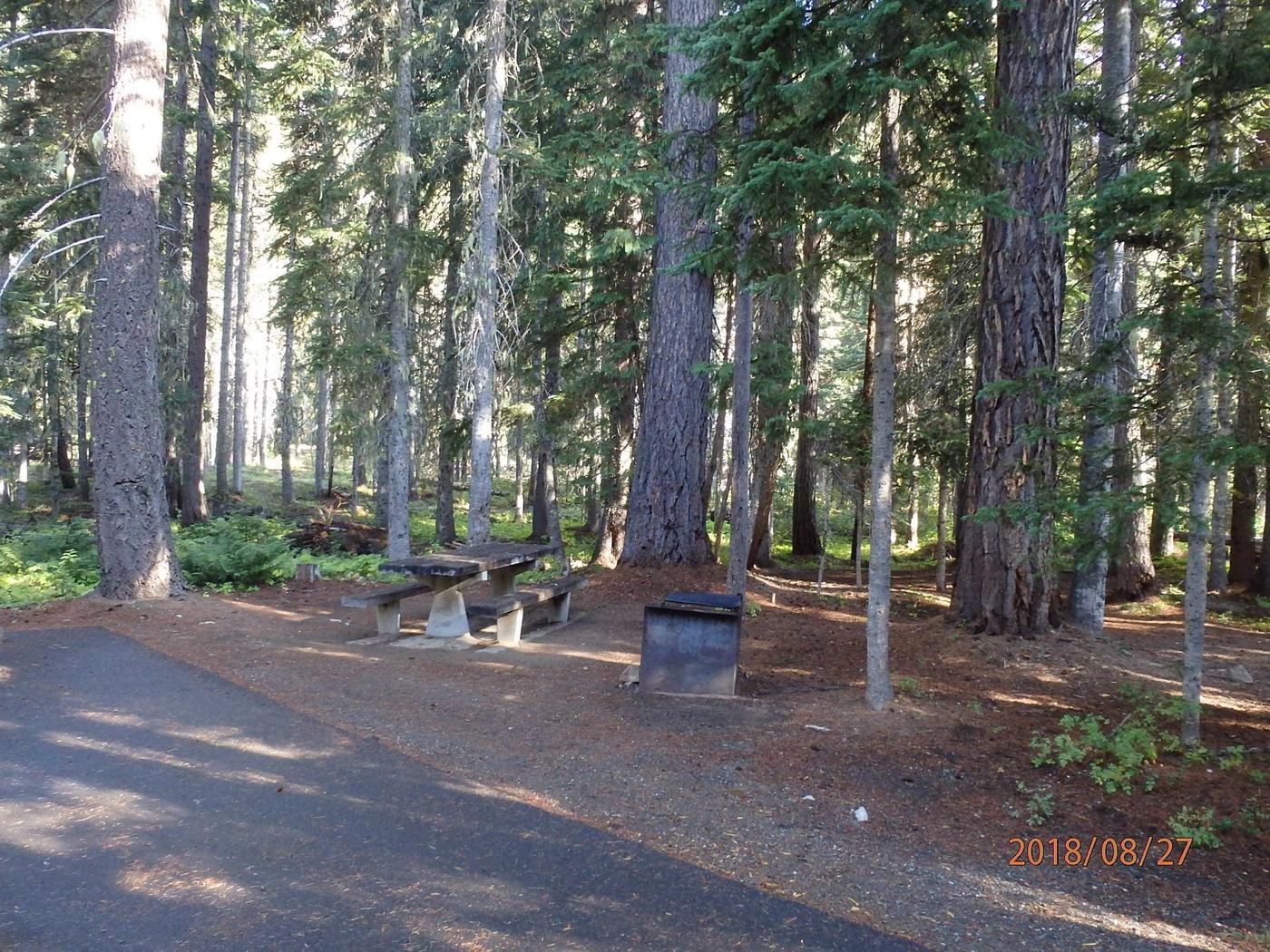 Site 008, Lodgepole Campground (WA) - Recreation.gov