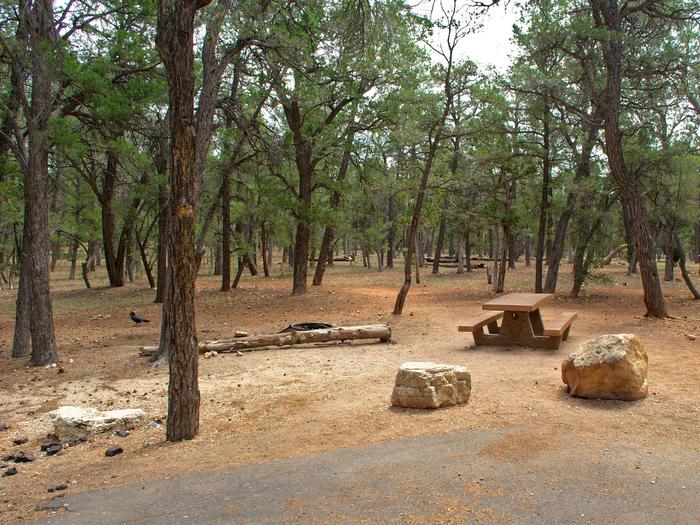 Picnic table, fire pit and parking spot, Mather Campground