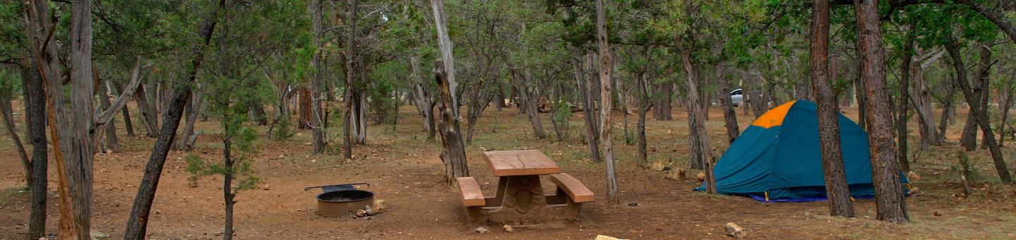Picnic table, fire pit, and tent, Mather Campground