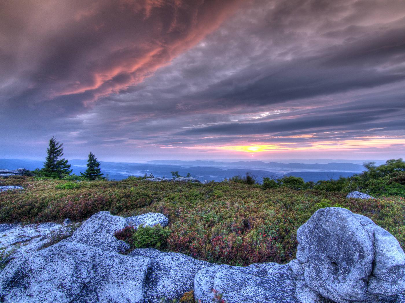 Monongahela National Forest, West Virginia - Recreation.gov