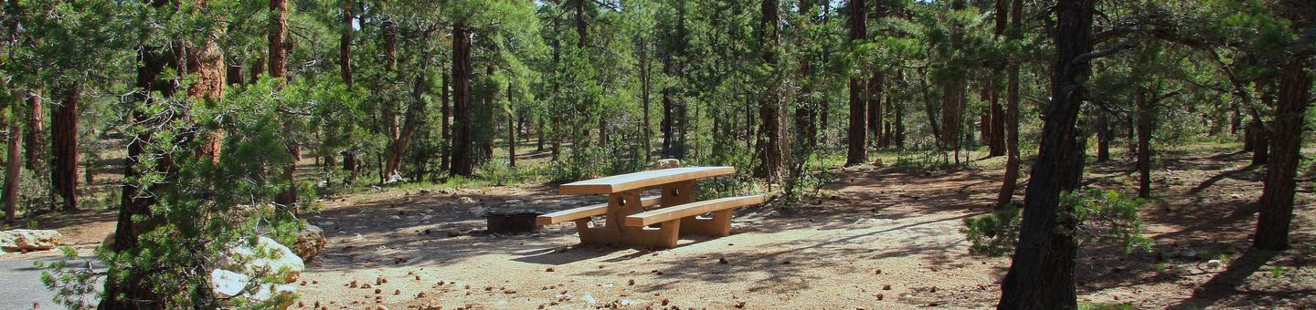 Picnic table, fire pit, and park spot, Mather CampgroundPicnic table, fire pit, and park spot for Oak Loop 231, Mather Campground