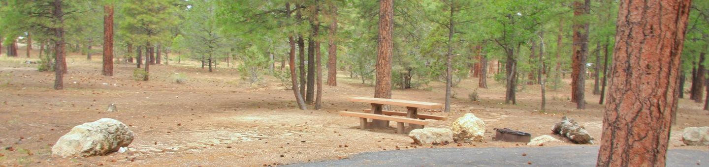Picnic table, fire pit, and parking spot, Mather CampgroundThe picnic table, fire pit, and parking spot for Aspen Loop 5 Mather Campground