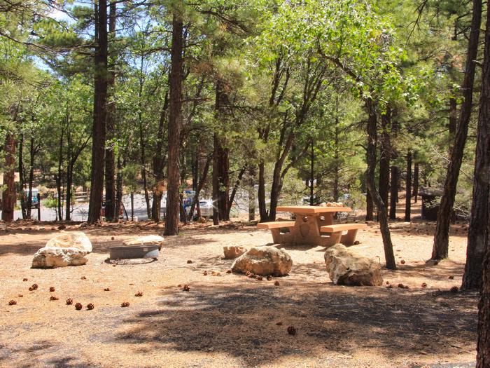 Picnic table and fire pit, Mather Campground