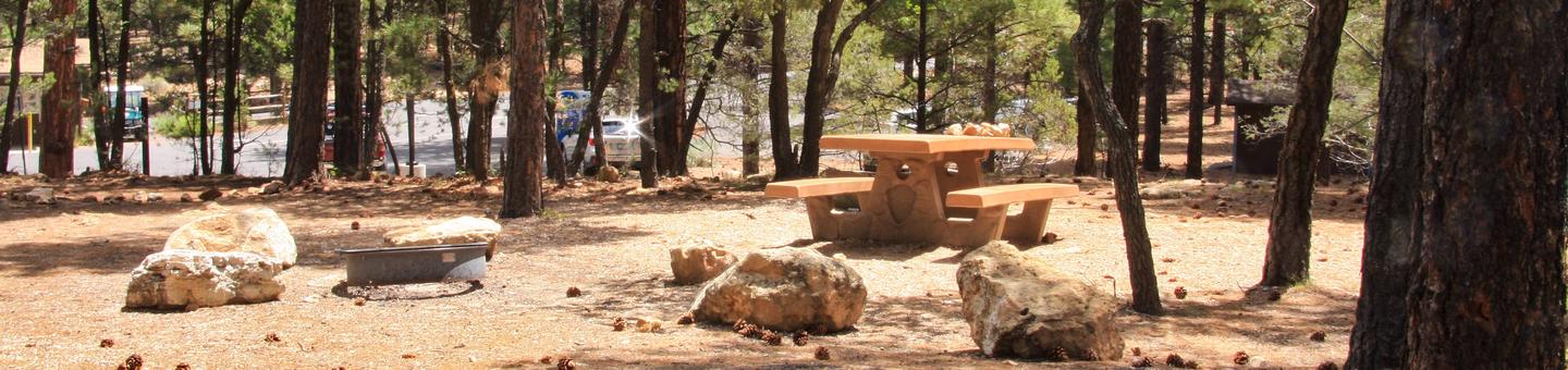 Picnic table and fire pit, Mather Campground