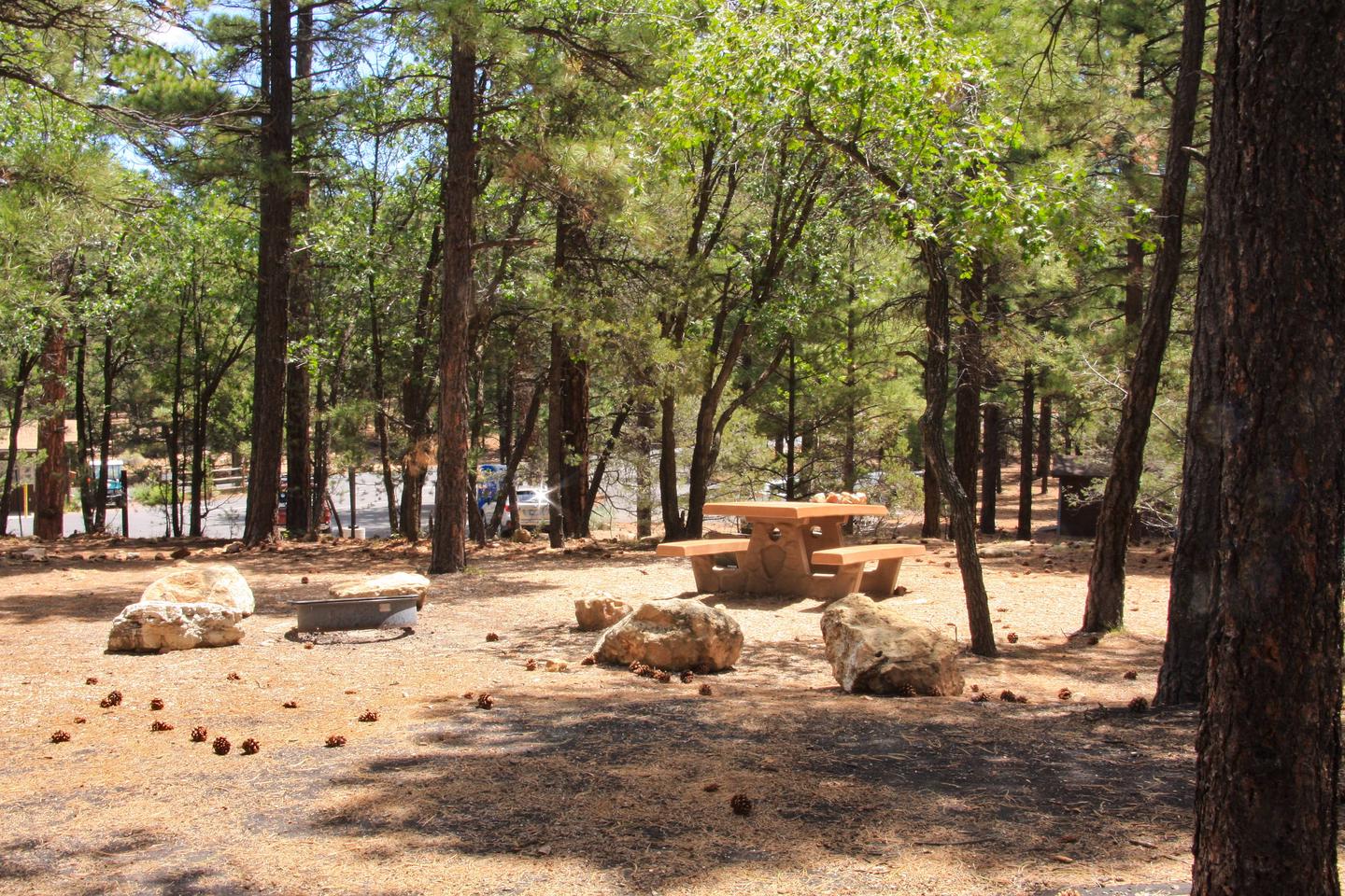 Picnic table, fire pit, and parking spot, Mather Campground