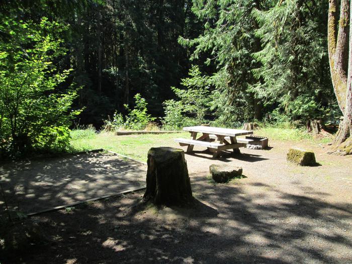 Campsite near river with stump near tent pad, picnic table, and campfire ring.Site 22