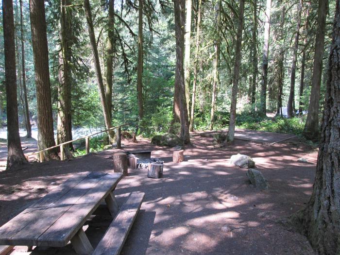 Campsite in forest with picnic table, tent pad and campfire ring.Site 9