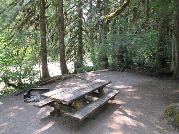 Campsite near river with picnic table, tent pad and campfire ring.Site 20