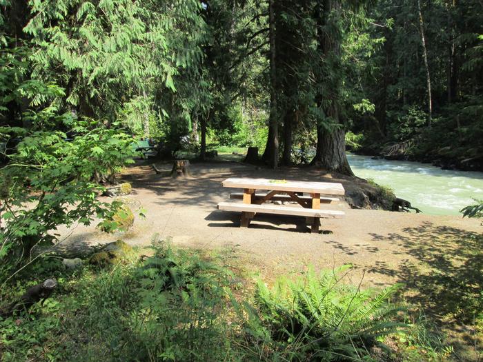 Campsite near river with picnic table.Site 21
