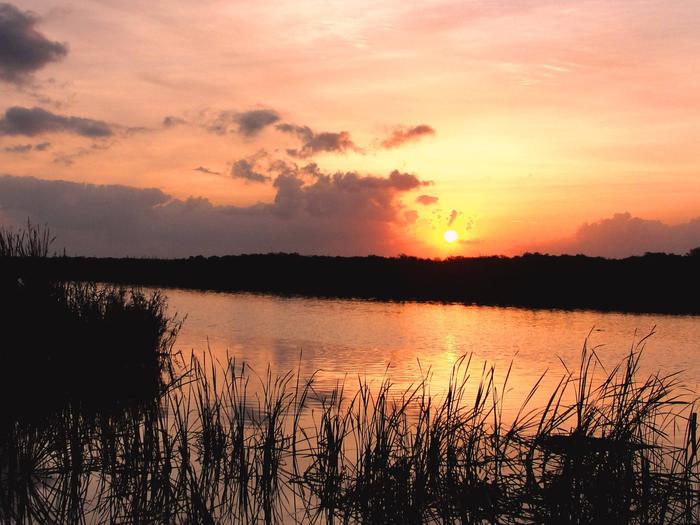 Preview photo of Arthur R. Marshall Loxahatchee National Wildlife Refuge