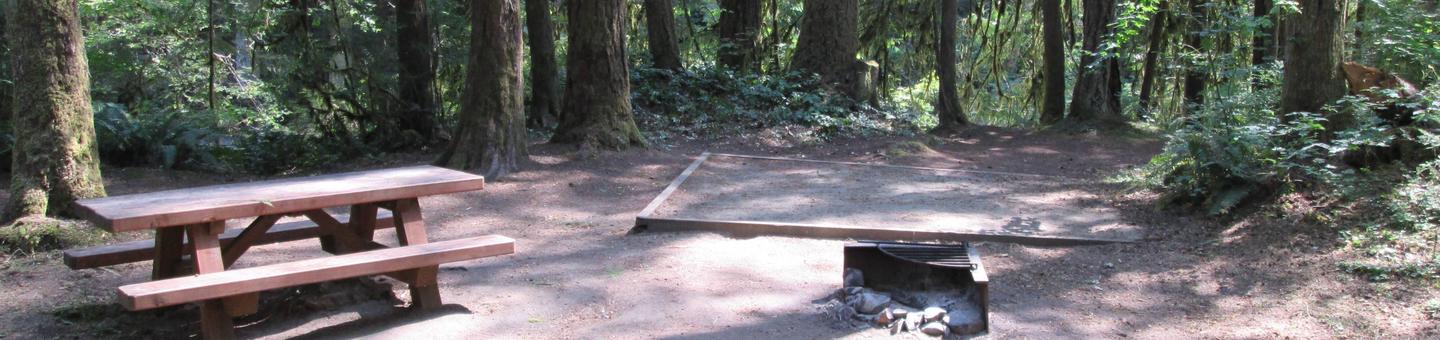 Campsite in forest with picnic table, tend pad, and fire ring.Site 26