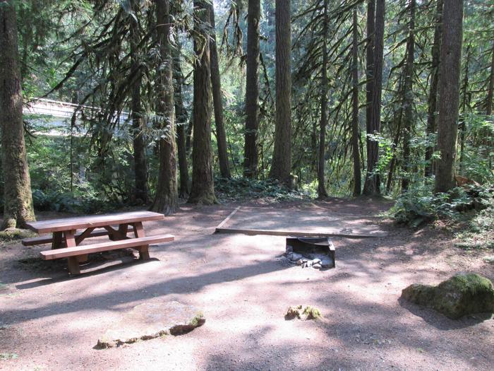 Campsite in forest with picnic table, tend pad, and fire ring--highway bridge in the background.Site 26