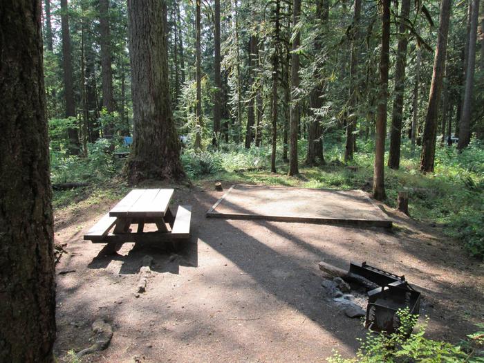 Picnic table and tent pad in dappled sun.Site 001