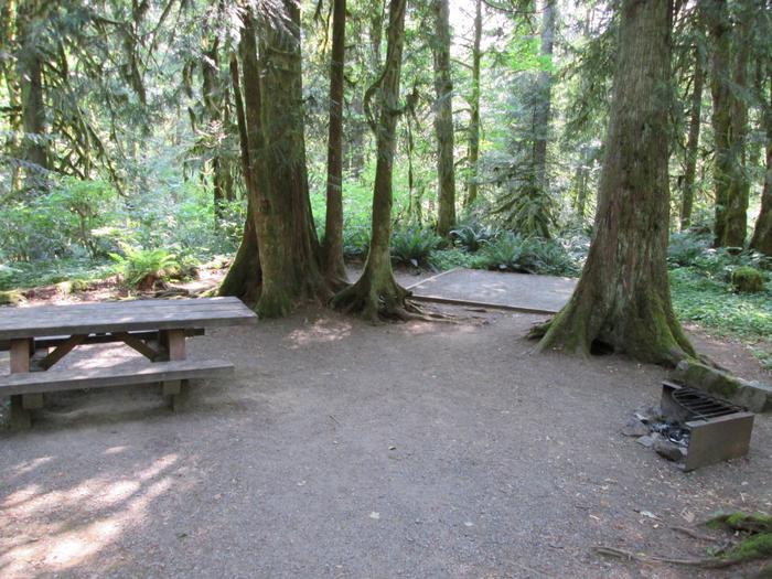 Campsite in forest with picnic table and tent padSite 14