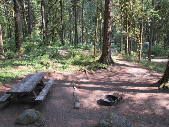 Campsite in forest with picnic table and fire ring.Site 16