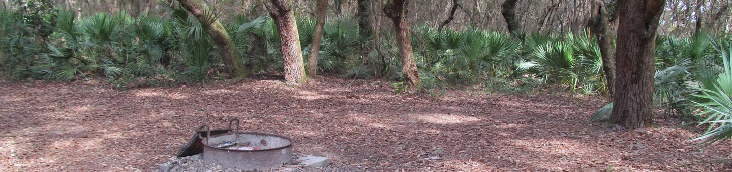 campsite with fire ring surrounded by palmettos, under live oak branchesStafford Beach site 2
