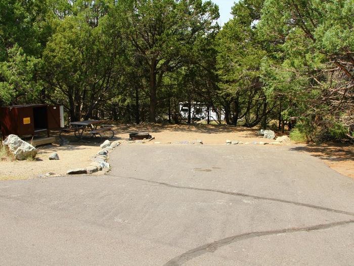 View of Site #56 parking pad and tent site, with Bear box, fire ring and tent pad. Site is surrounded by pine treesSite #56, Pinon Flats Campground