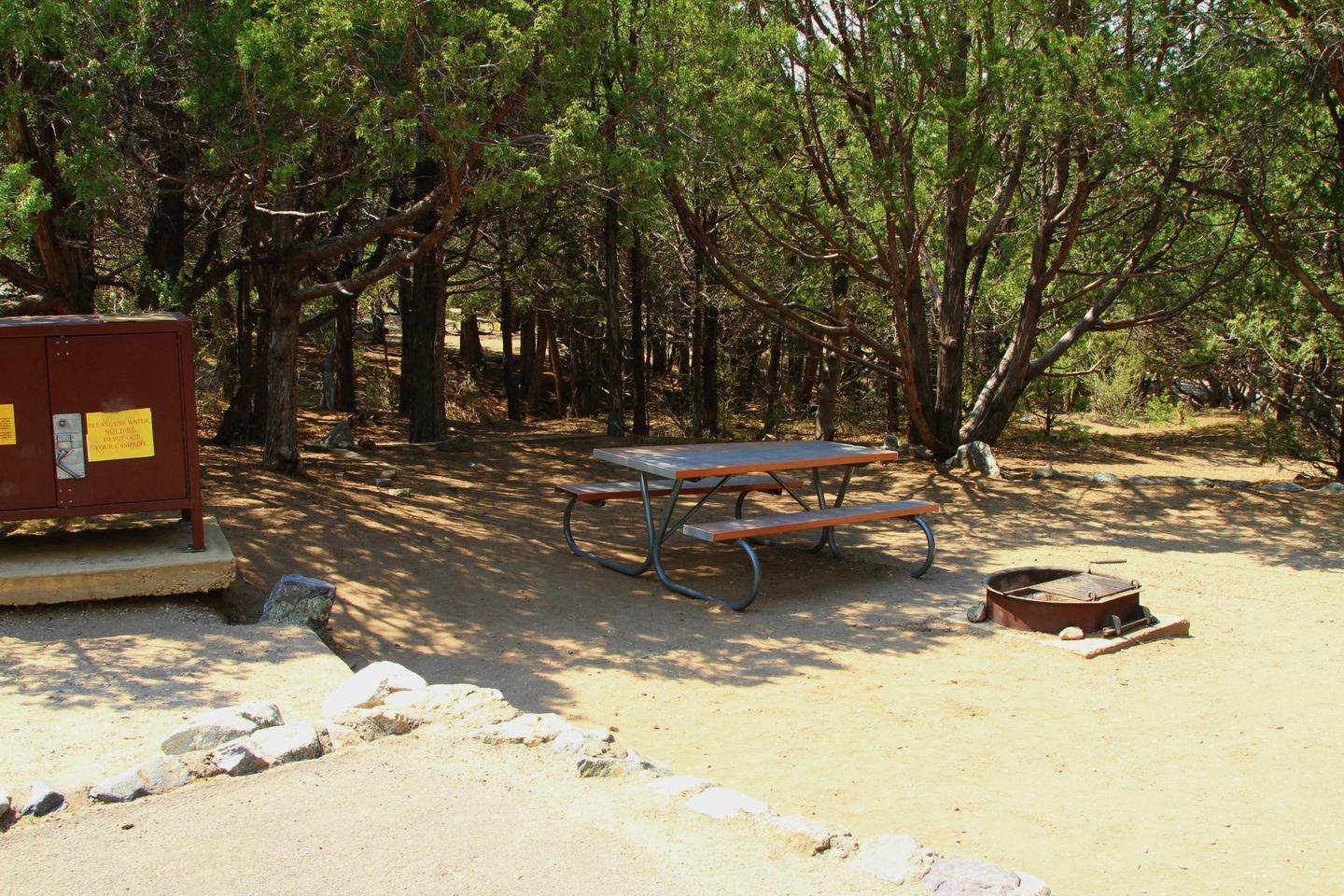 Closeup of Site #56 tent pad, bear box, picnic table, and fire ring.Site #56, Pinon Flats Campground