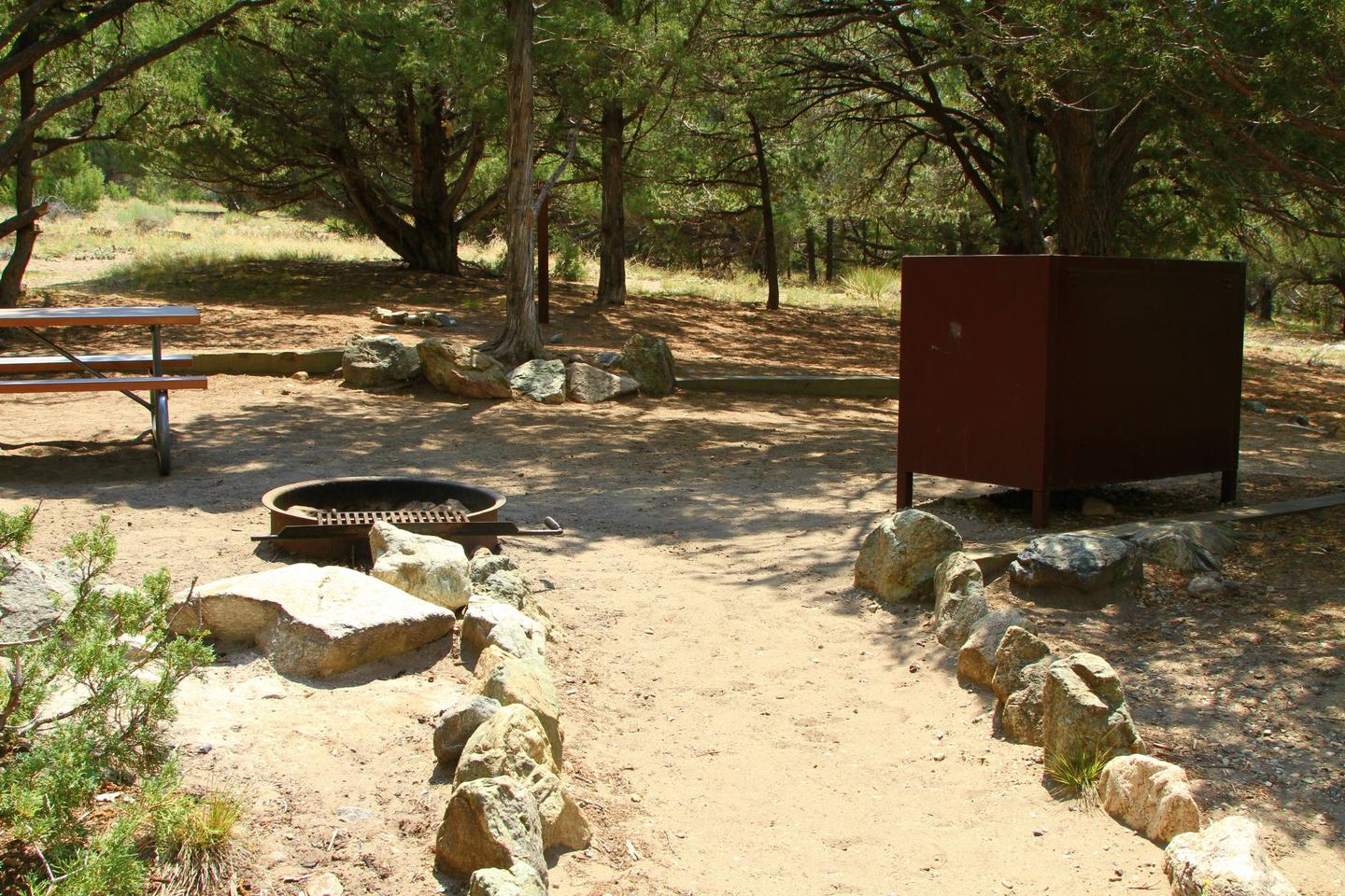 Closer view of Site #54 tent pad with fire ring, picnic table, and bear box. Site #54, Pinon Flats Campground