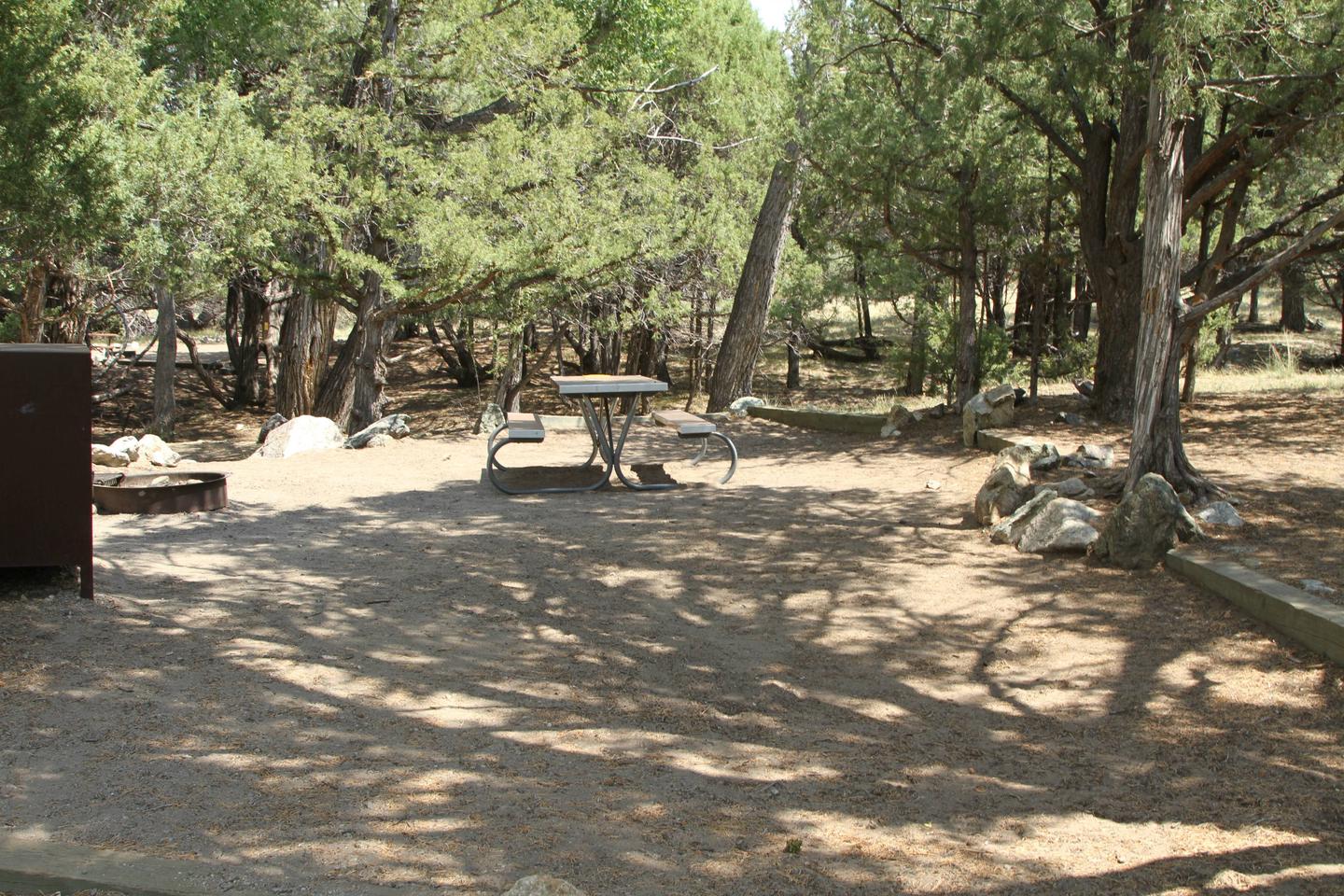 Back view of Site #54 tent site, with bear box, fire ring, and picnic tableSite #54, Pinon Flats Campground
